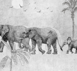 Семья великанов – образец 1