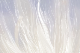 Ощущение волны 3 – образец 2