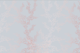 MAGNOLIA4 – образец 2