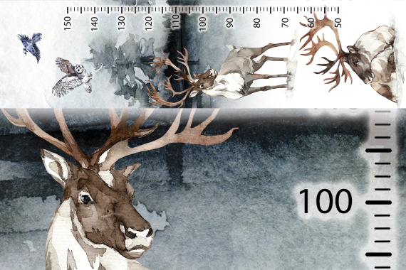 Ростомер ELK FOREST – фото 1