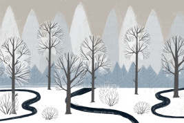 Заповедные земли – образец 2