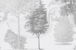 Графичный лес – образец 2