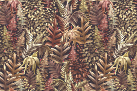 Тропический коричневый – образец 2