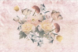 Голландская роза – образец 2