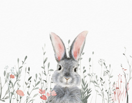 Cute bunny wite – образец 2